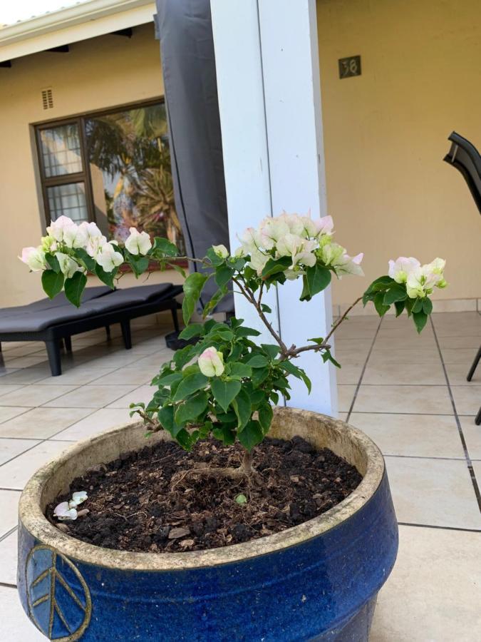 Villa Sole's Leap à Scottburgh Extérieur photo