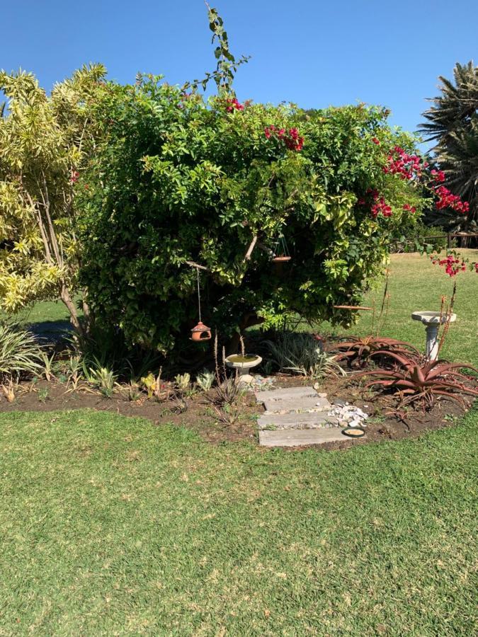 Villa Sole's Leap à Scottburgh Extérieur photo